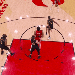 RJ Barrett