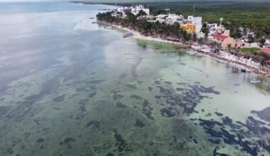 Not a perfect day: Ministry of Environment says only approved projects should be announced