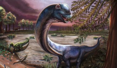 Largest Ever Dinosaur Discovered in Southeast Asia Was a Real Doozy : ScienceAlert