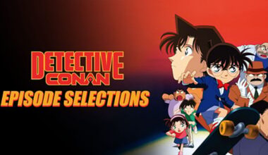 Detective Conan: FBI Intervention Anime Series Review - Review