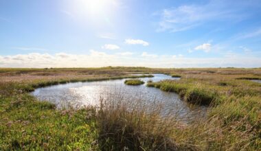 Coastal habitats face a sea-level threat that has been overlooked by climate scientists until now