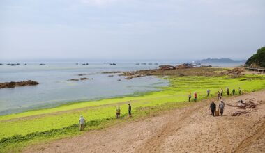 What Is An Ocean Dead Zone?