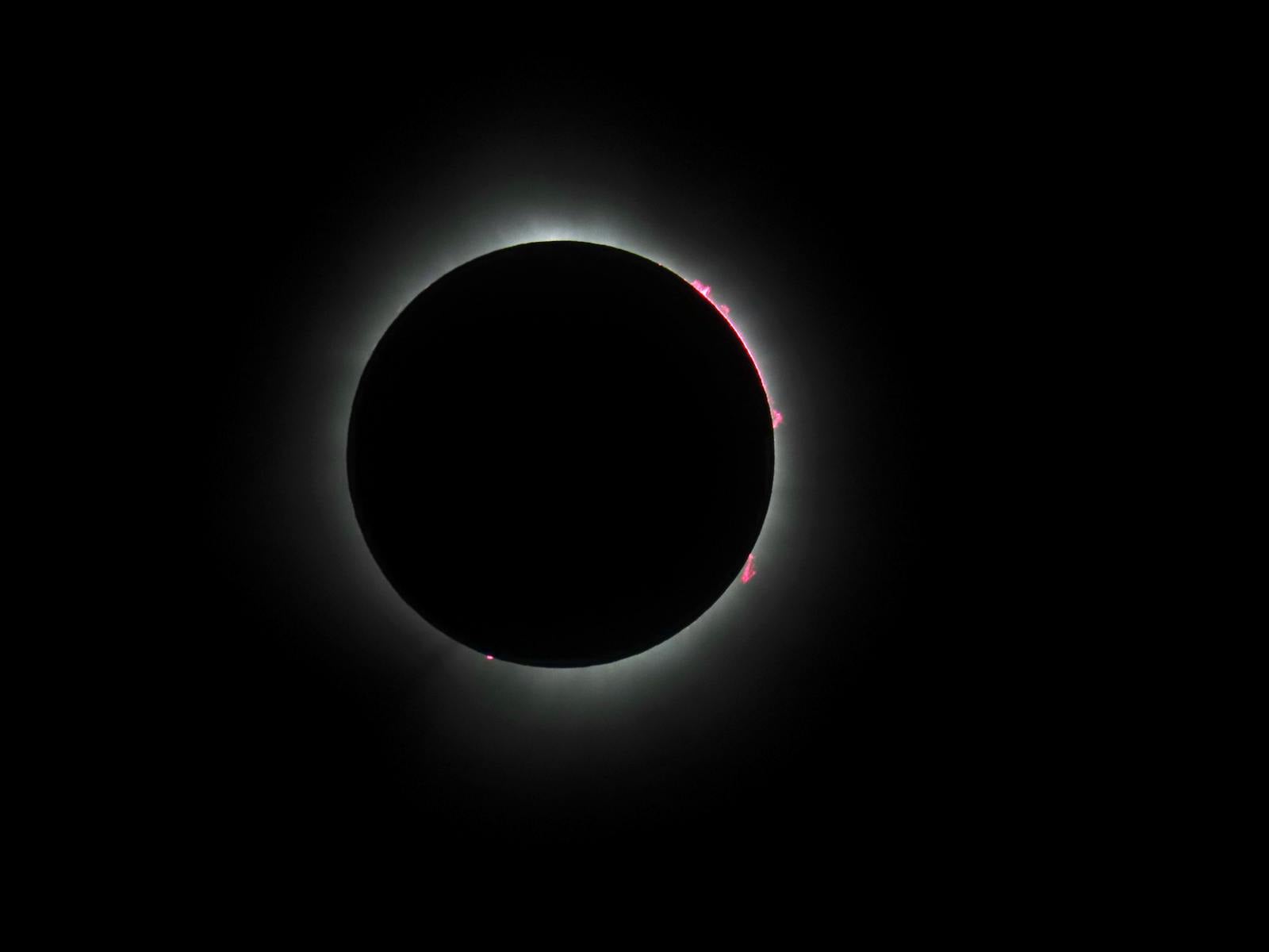 solar corona close up
