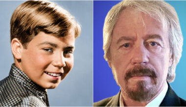 Here's What Happened to Stanley Livingston From 'My Three Sons'