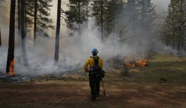 Trump's immigration and DEI policies are impacting forest fires : NPR