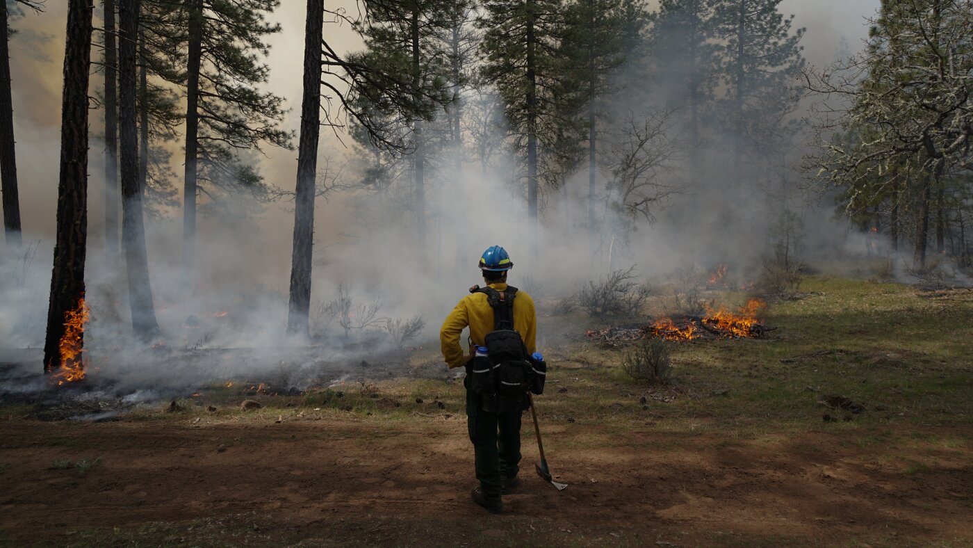 Trump's immigration and DEI policies are impacting forest fires : NPR