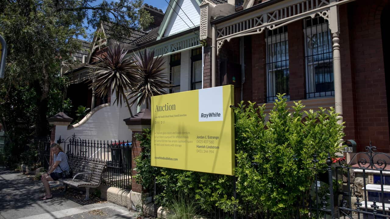 A Ray White auction sign stands outside a row of terrace houses in Sydney, with a person seated on a bench nearby.
