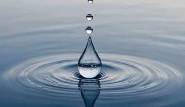 A cup of water reveals another requirement for life as we know it