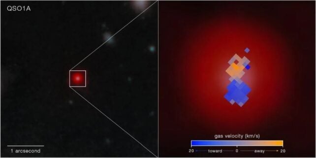 The Weirdness of Early Universe SMBHs Gets Even Weirder
