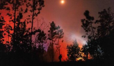 A fire fighter tackles a wildfire