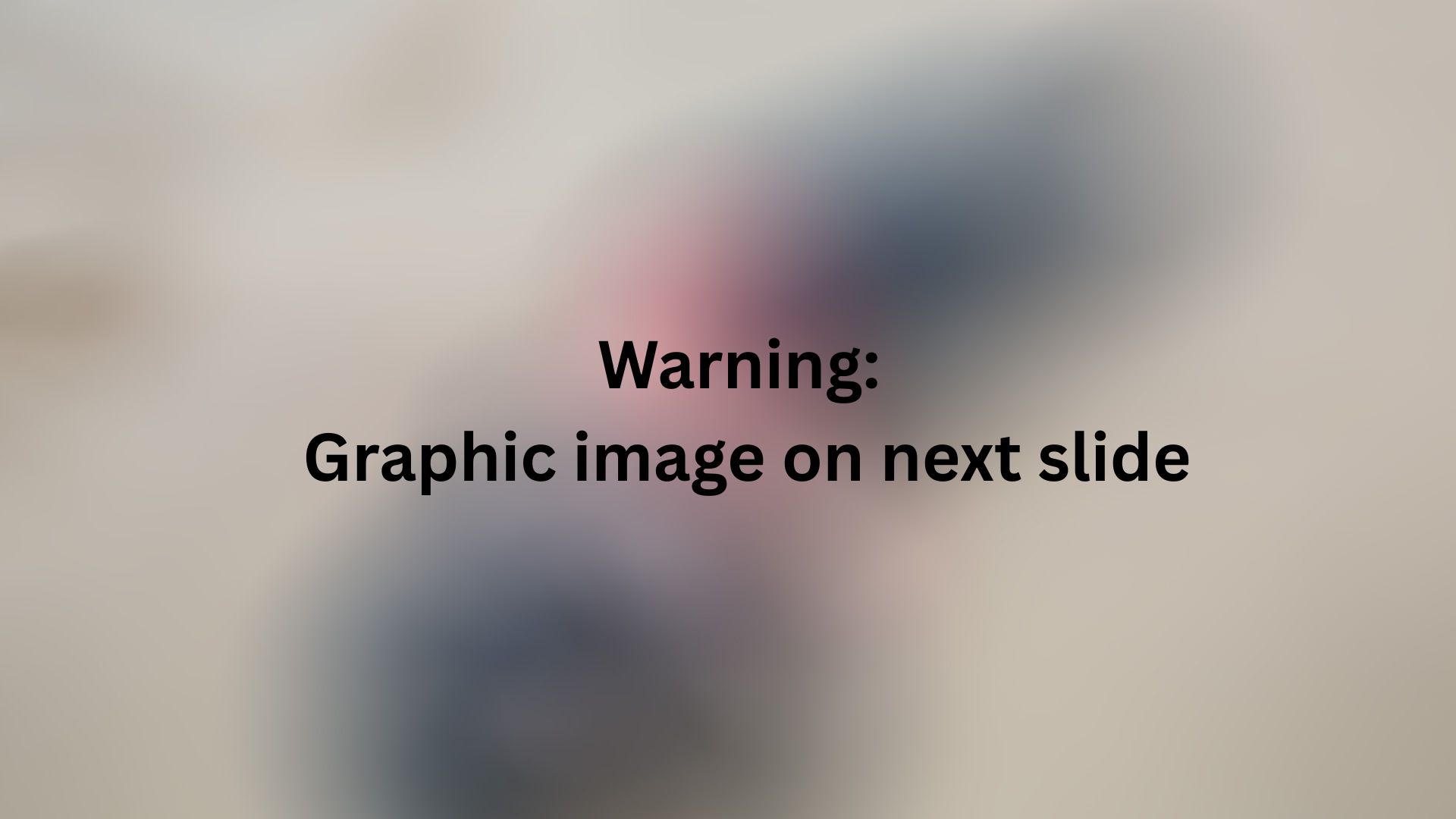A close up of a seal carcass on a beach, with its midsection exposed.