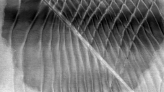 Researchers make moiré 2D materials without stacking, twisting