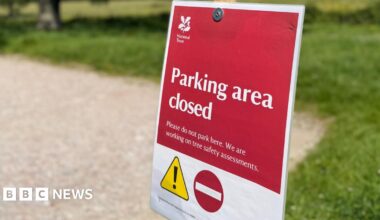 A close up image of a laminated paper National Trust sign in a car park in red and white with warning symbols saying "tree safety assessments" were taking place.