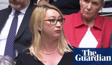 Labour MP sues Elon Musk’s xAI company over fake sexualised images | Grok AI