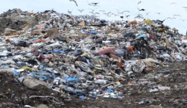 Half of what’s going into Greater Sudbury’s landfills could already be diverted