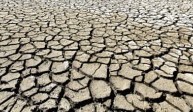 Municipal households may need to restrict water use under new drought contingency plans