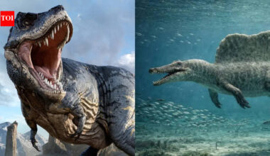 From T. Rex to Spinosaurus: Meet the most terrifying dinosaurs to ever walk the earth, dominating the prehistoric world with unmatched size, strength, and hunting power