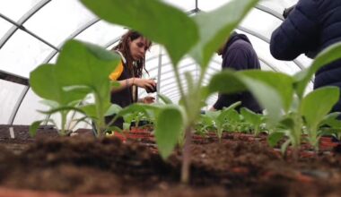 Women in farming more vulnerable to mental-health struggles and stress, Guelph study finds