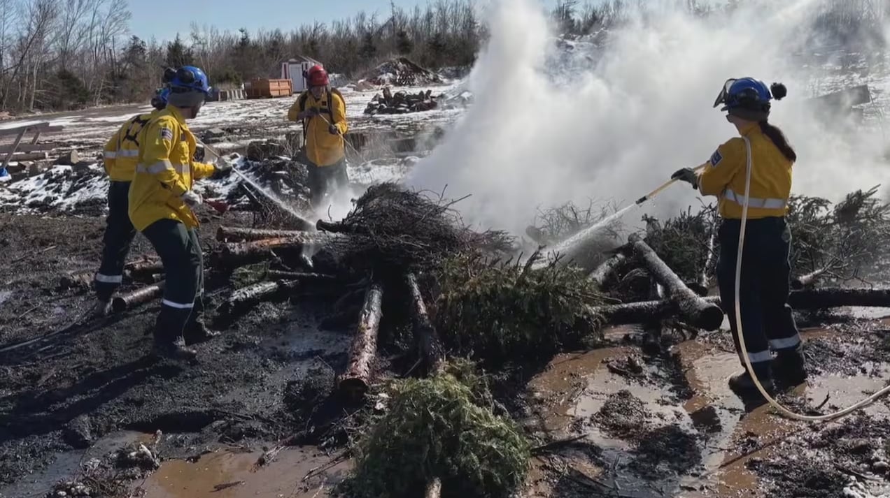 Four people in yellow jackets wearing hard hats use hoses to put out a fire in a wooded area.