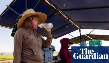 Beating the heat: study explores the search for cool during heatwaves | Extreme heat