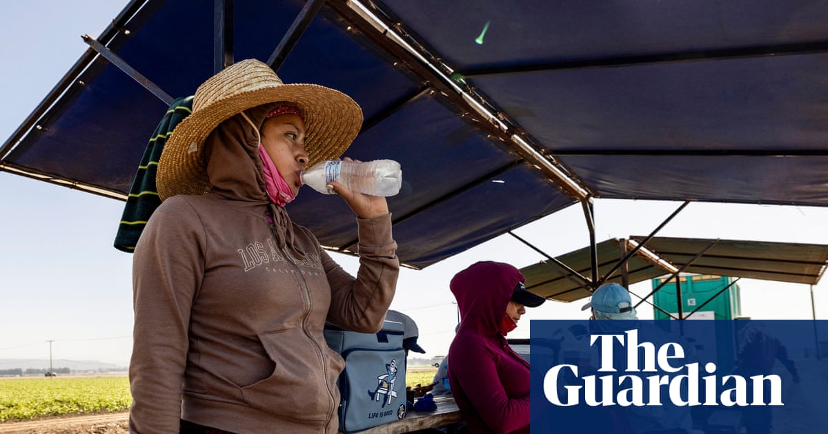Beating the heat: study explores the search for cool during heatwaves | Extreme heat