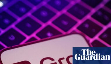 New claimants seek to sue Elon Musk’s xAI after Labour MP’s test case | Grok AI