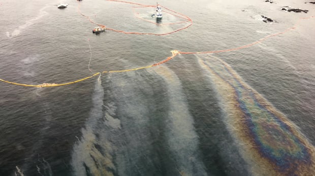 Heiltsuk Nation reaches $12.2M settlement with company involved in 2016 tugboat fuel spill