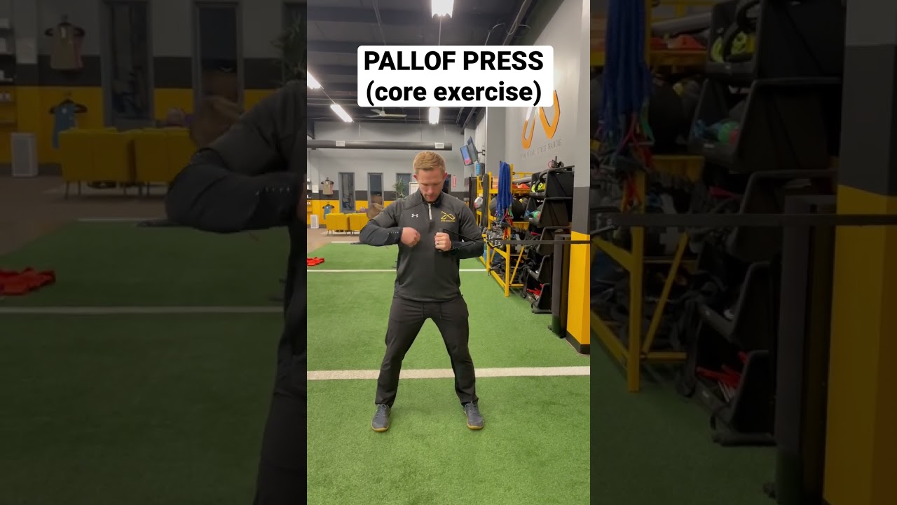 How to perform the pallof press (core exercise) - YouTube
