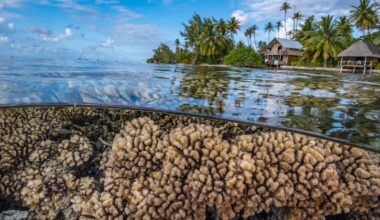 Humanity’s future depends on protecting the rapidly changing ocean