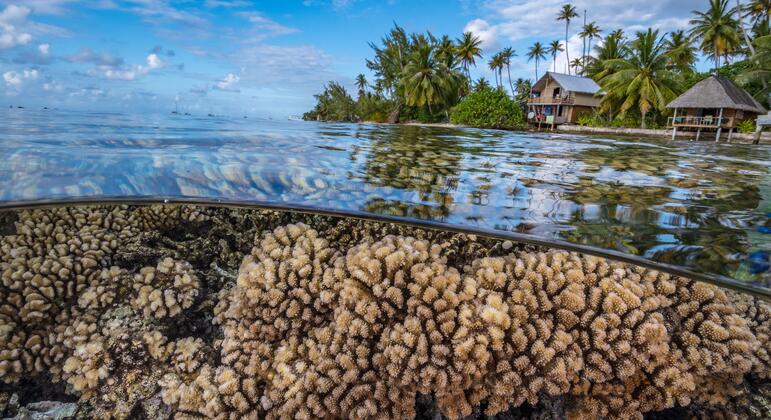 Humanity’s future depends on protecting the rapidly changing ocean