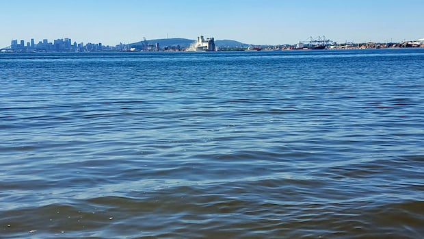 Quebec municipalities and environmentalists say province's water reserves are at risk