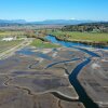A new levee built by the Stillaguamish Tribe, left, separates farmland from newly restored wetlands at the mouth of the Stillaguamish River near Stanwood, Washington, on April 8, 2026.