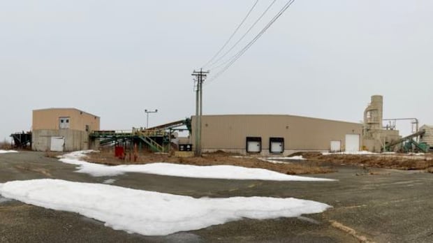 Mattresses aren't recycled in N.B., but a proposed project could change that