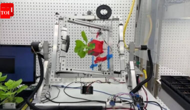 Pharmacies in space? Scientists discover a way to grow medicines in space using plants |
