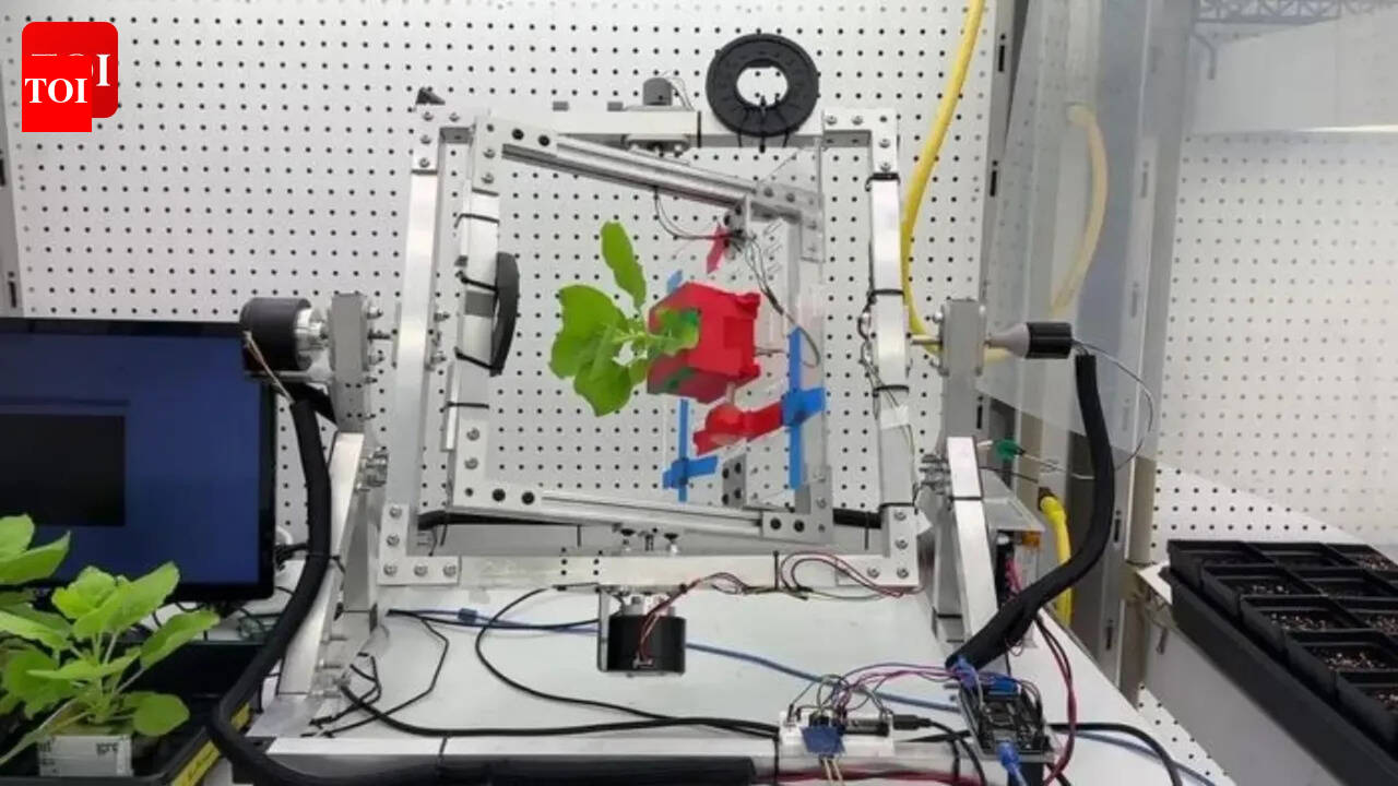 Pharmacies in space? Scientists discover a way to grow medicines in space using plants |