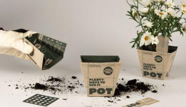 3-in-1 Cardboard Pot Just Made Plastic Pots Obsolete