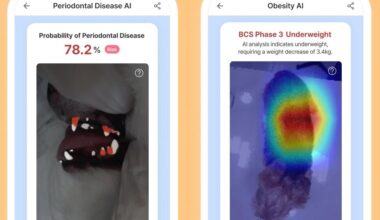 Samsung phones are getting a new feature for checking the health of your pets.