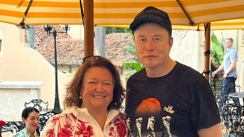 Gina Rinehart SpaceX investment: Gina Rinehart bets $1.4 billion on Elon Musk with record stake in IPO