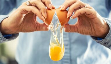 11 Foods That Have More Protein Than An Egg
