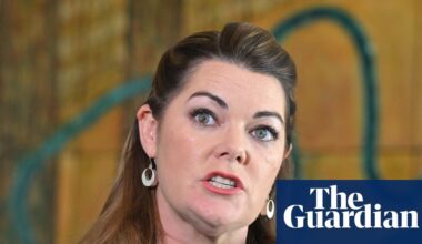 Australia ‘sleepwalking’ into AI crisis and ‘tech bro free-for-all’, says Greens senator | Australian politics