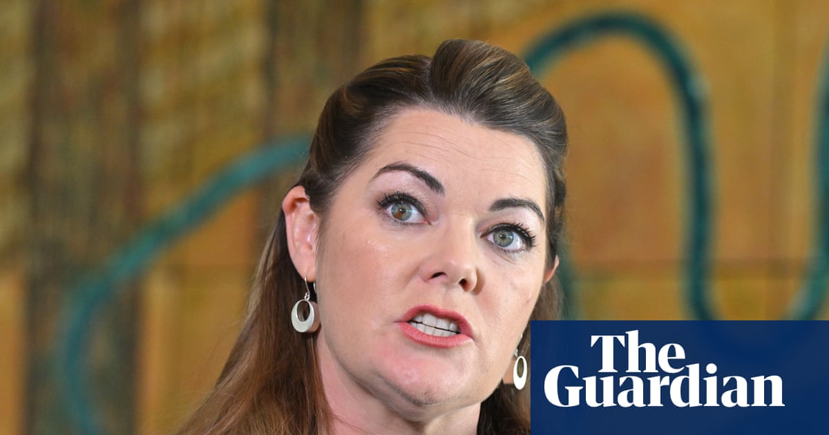 Australia ‘sleepwalking’ into AI crisis and ‘tech bro free-for-all’, says Greens senator | Australian politics