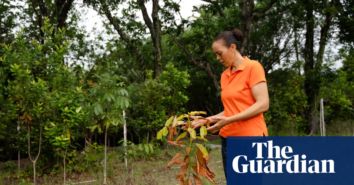 ‘People shouldn’t expect there will be water in their taps every day’: why is St Lucia running out of water? | Water