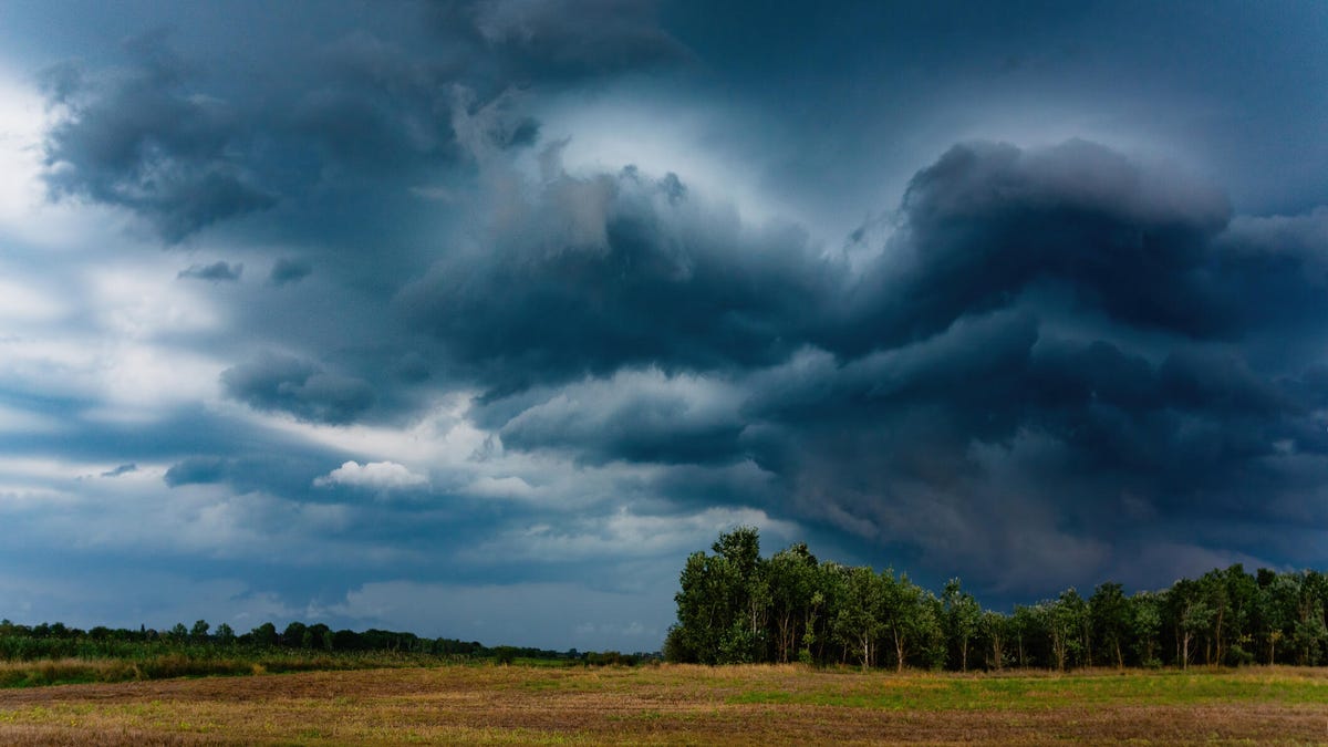 5 disaster-prep tips I've learned after decades of bushcrafting