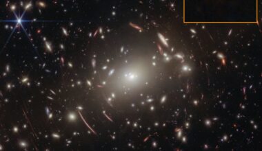 Webb's view of galaxy cluster Abell S1063, whose gravity magnifies the little red dot GLIMPSE-17775 (boxed, lower right). The curved red arcs are lensed background galaxies (Credit : NASA, ESA, CSA, Vasily Kokorev (UT Austin); Image Processing: Alyssa Pagan (STScI))
