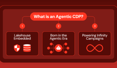 Introducing the Agentic CDP: A New Species of CDP for a New Era of Agents