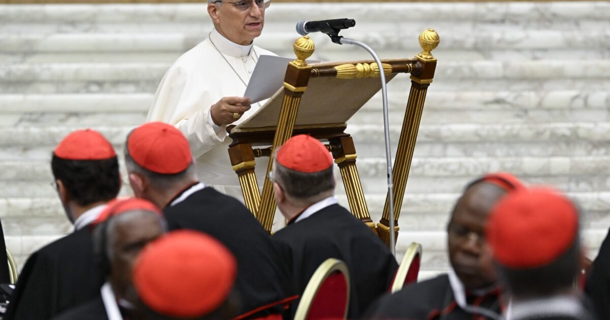 Pope Leo tells cardinals war is 'never blessed by God'