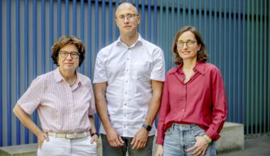 Light as a Brake | Newsportal