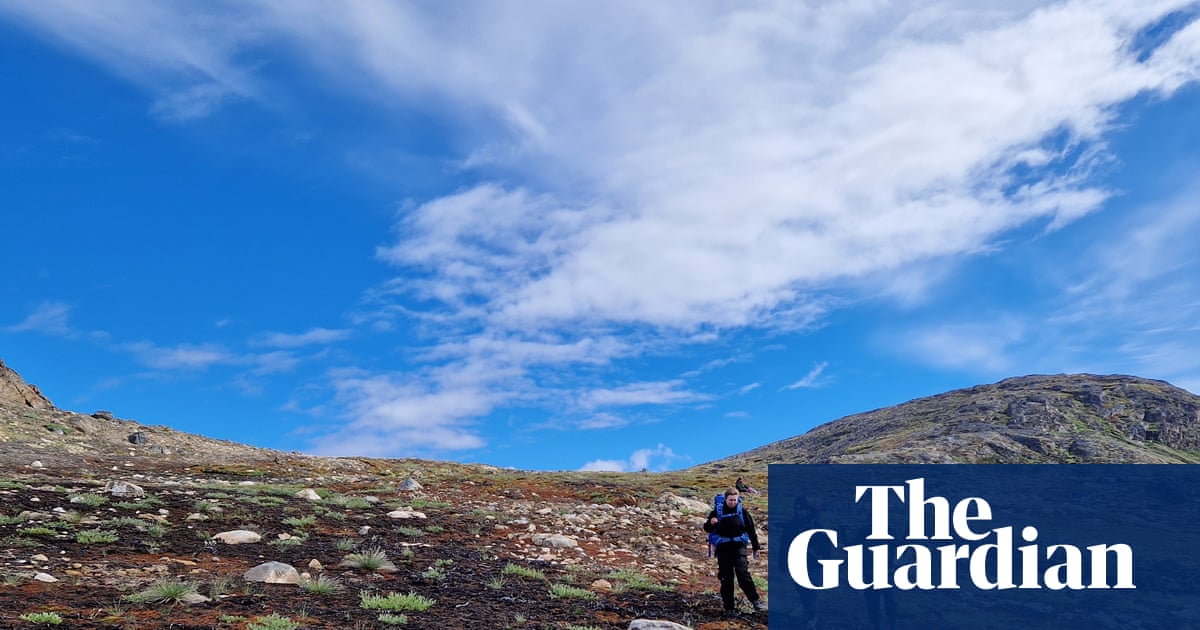 Scientists alarmed after two wildfires hit Greenland within a week | Wildfires