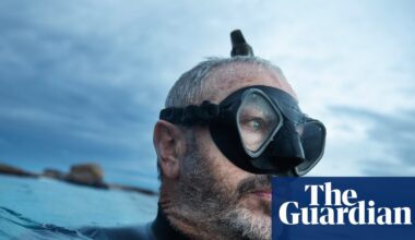 A spate of shark bites has Australian ocean lovers on edge. People want to know why they’re rising | Sharks