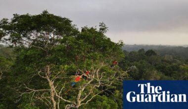 Can ecosystems ‘malfunction’? | Environment